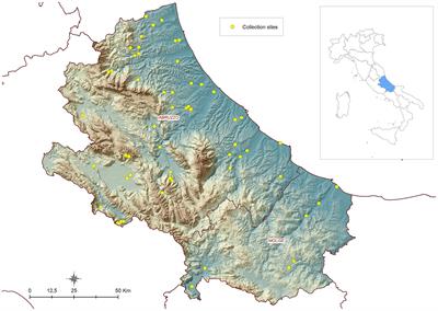 Spotting Culex pipiens from satellite: modeling habitat suitability in central Italy using Sentinel-2 and deep learning techniques